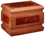 foto cremazione