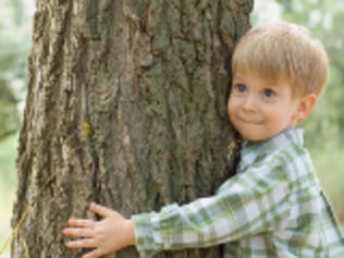Bambino che abbraccia albero