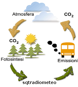 Immagine del ciclo di inquinamento